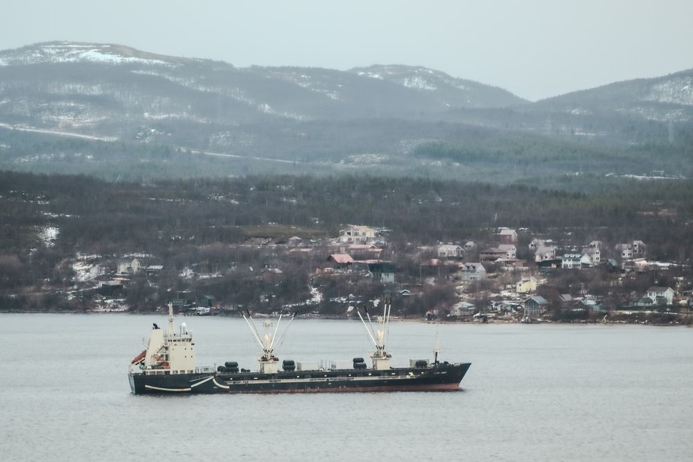 Photograph by Елена Квасова