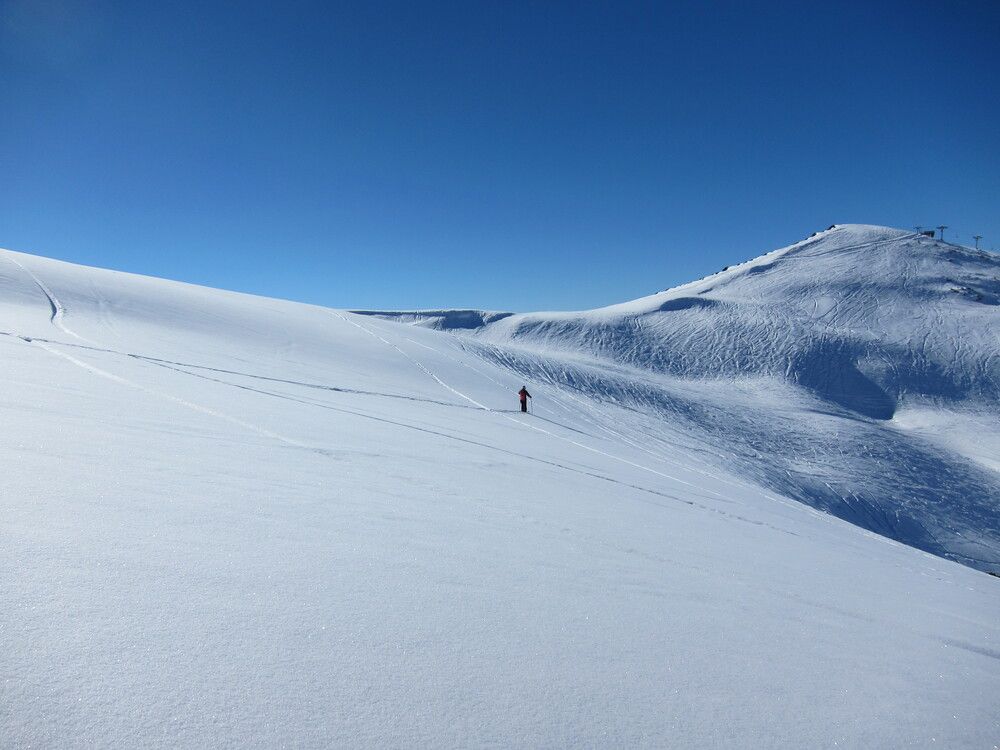 Photo #12886367