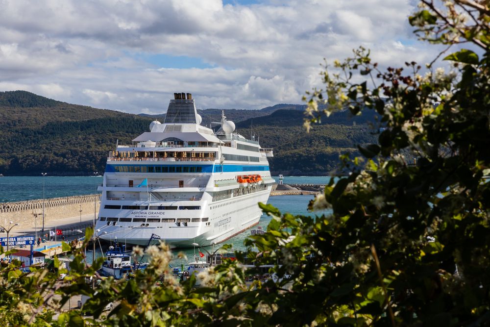 Фотография автора Екатерина Авдеева