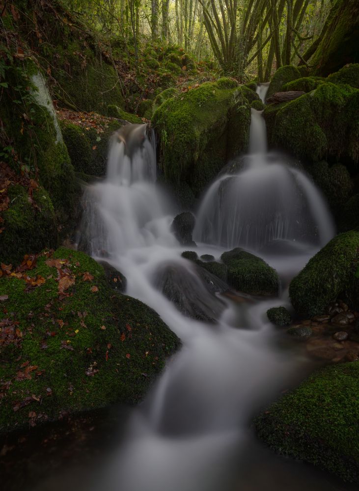 Фотография автора Miguel Iglesias