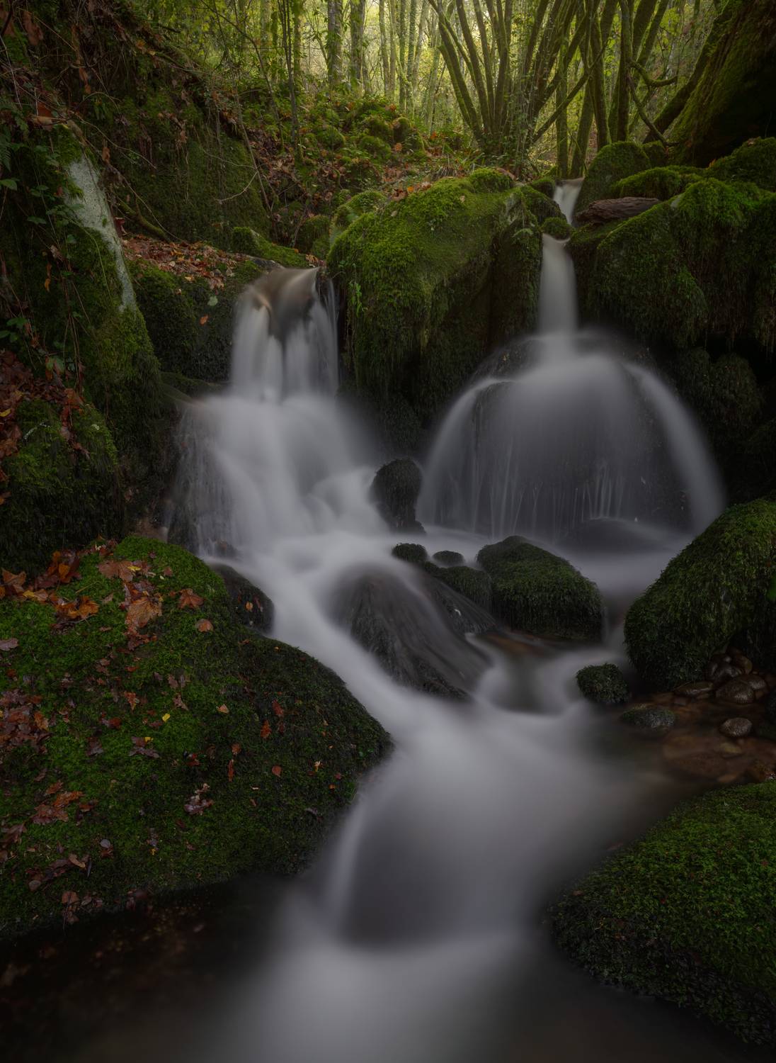 Фотография #12886450