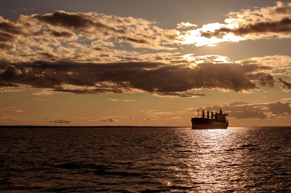 Фотография автора Вера Базилевская