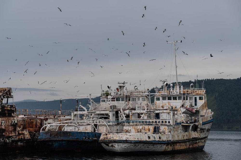 Photograph by Татьяна