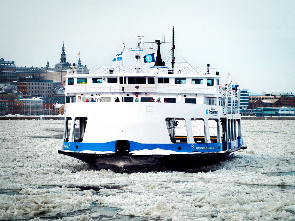 Фотография автора Camilo Rojas