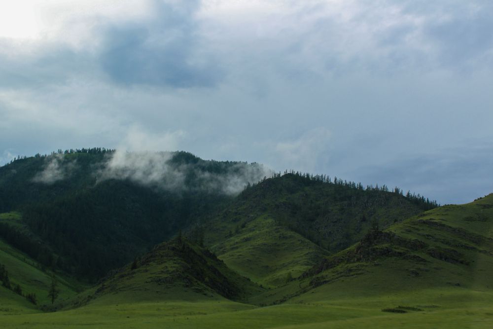 Зеленые горы