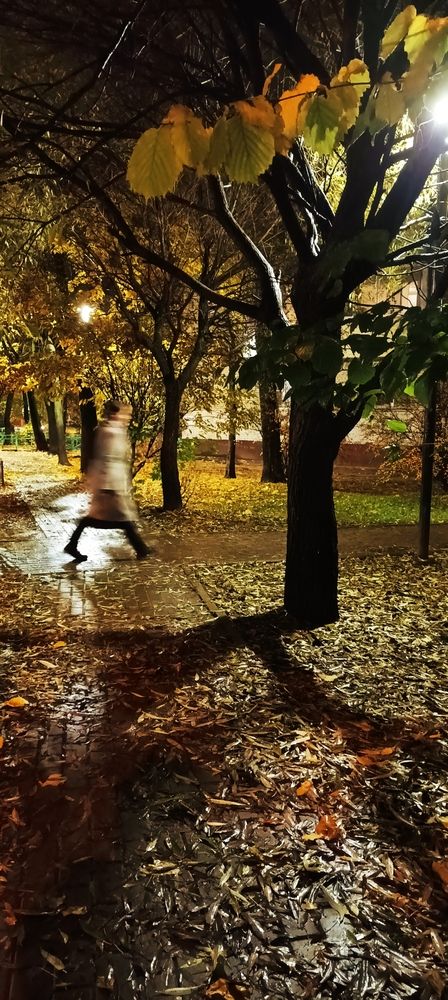 Photograph by Анна Нарышкина