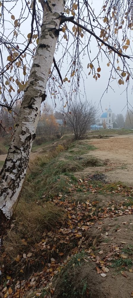 Photograph by Анна Нарышкина