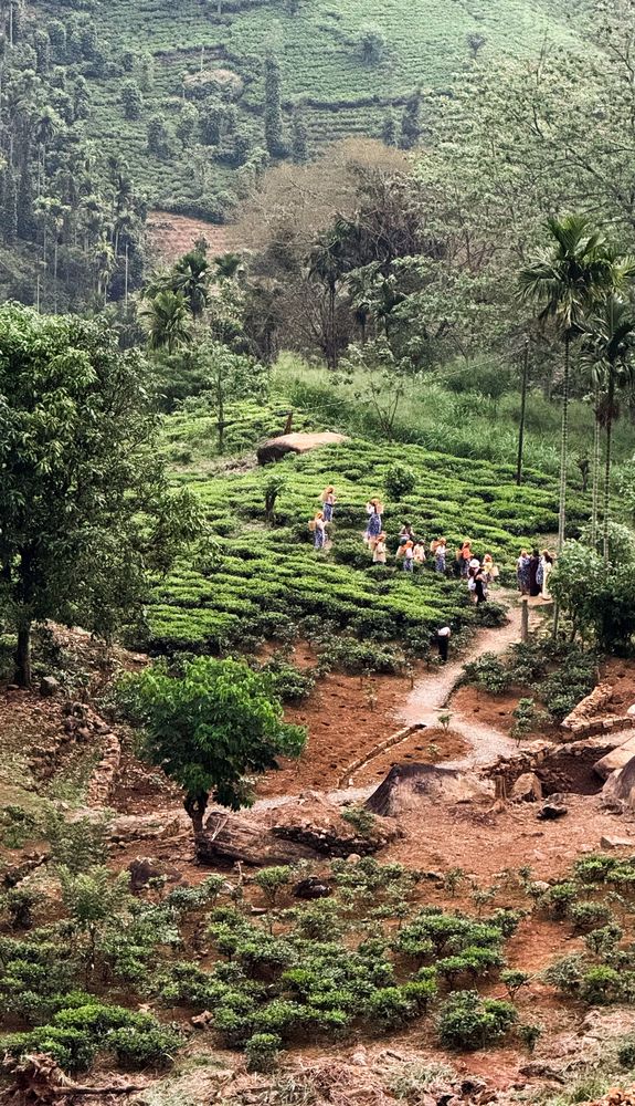 Фотография автора Карина Даутова