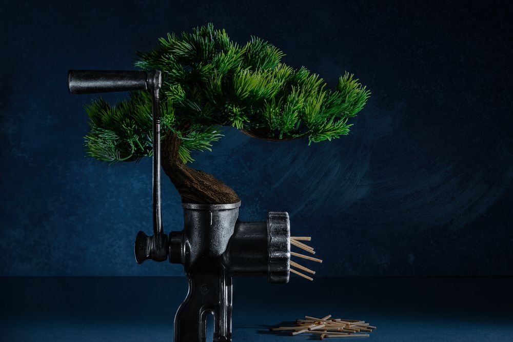 Берегите лес!