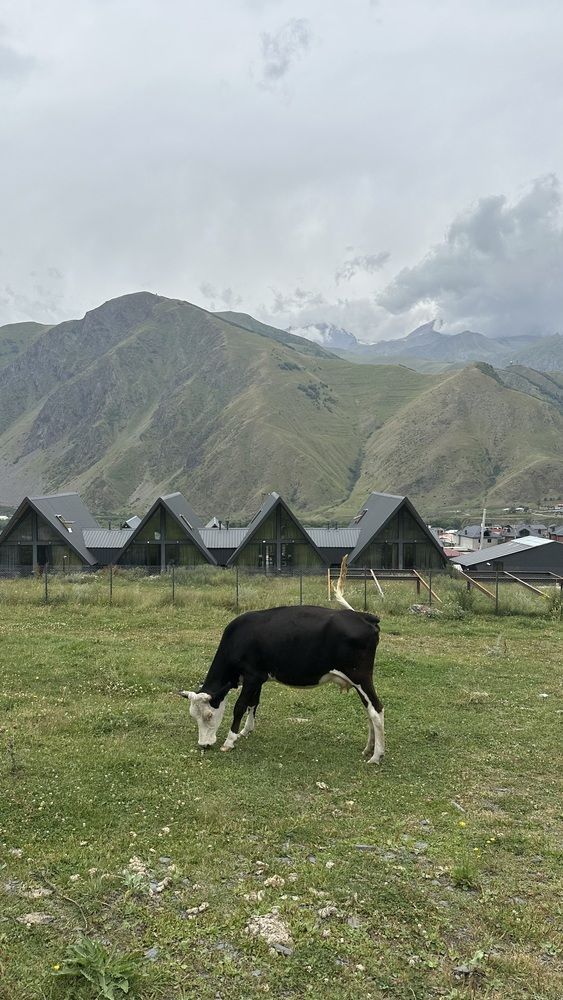 Photograph by Ольга Бастракова