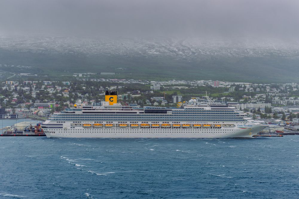 Фотография автора Talal Abodeshish