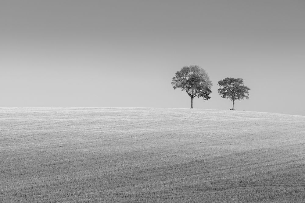 Photograph by Valdir Hobus