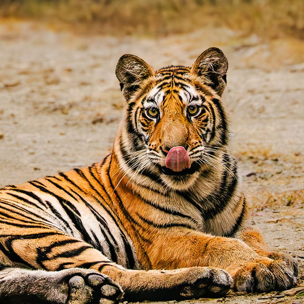 Photograph by MUKESH RAJAN S