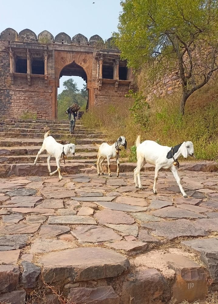 Photograph by Rubina Hasan