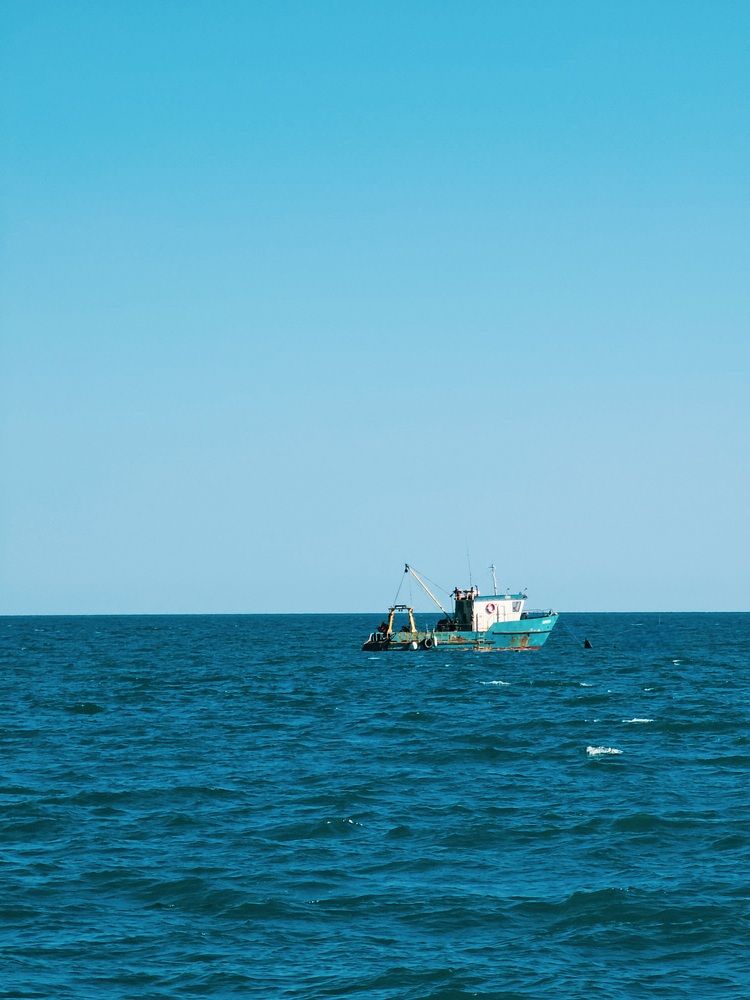 Photograph by Владислав Моисеев