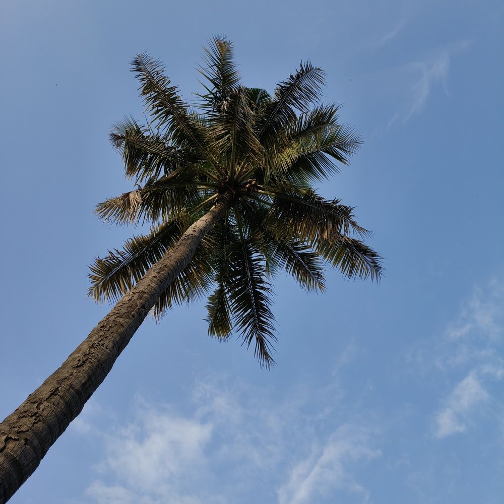 Photograph by PARTH GHODKE