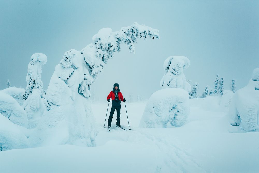 Фотография автора Алексей Новиков
