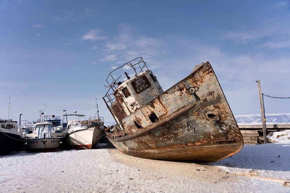 Фотография автора Daria Zemskova