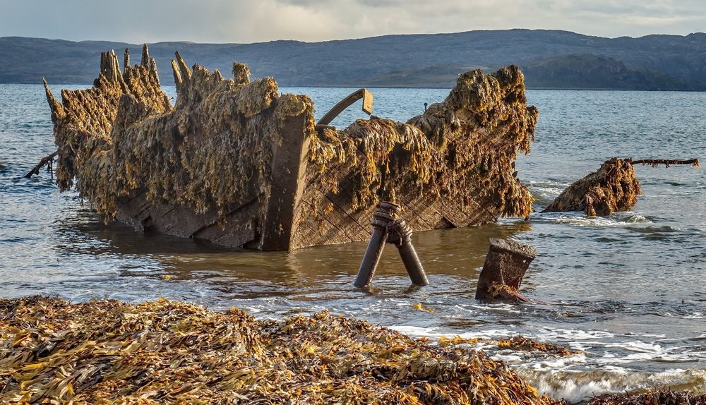 Photograph by Валерий Смирнов