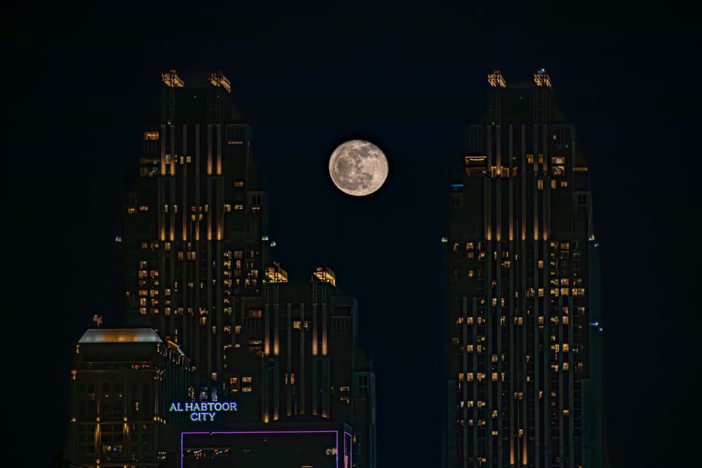 Фотография автора Sarrah Yehia