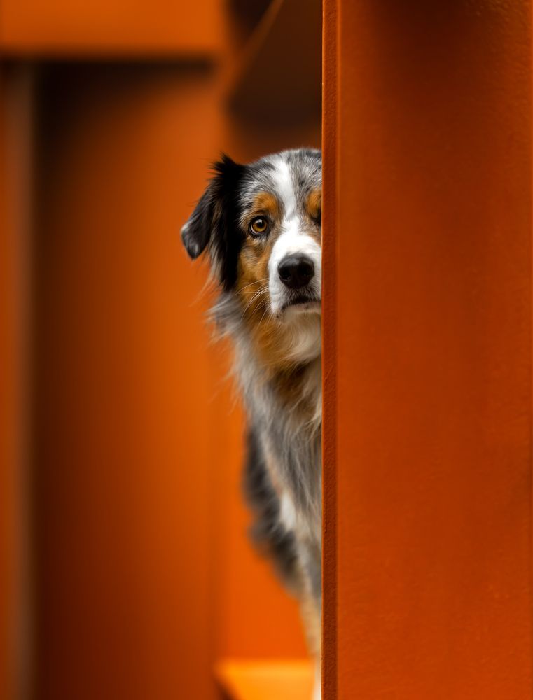 Photograph by Yong Lei van Barlingen