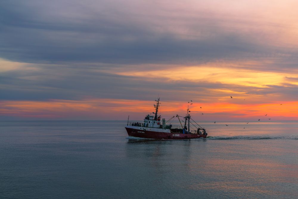 Photograph by Дмитрий Грошиков