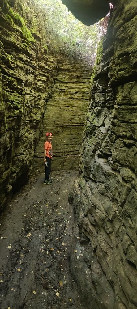 Фотография автора Ольга Петрова