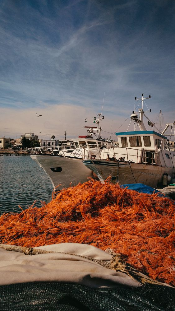 Photograph by Екатерина Жебрикова