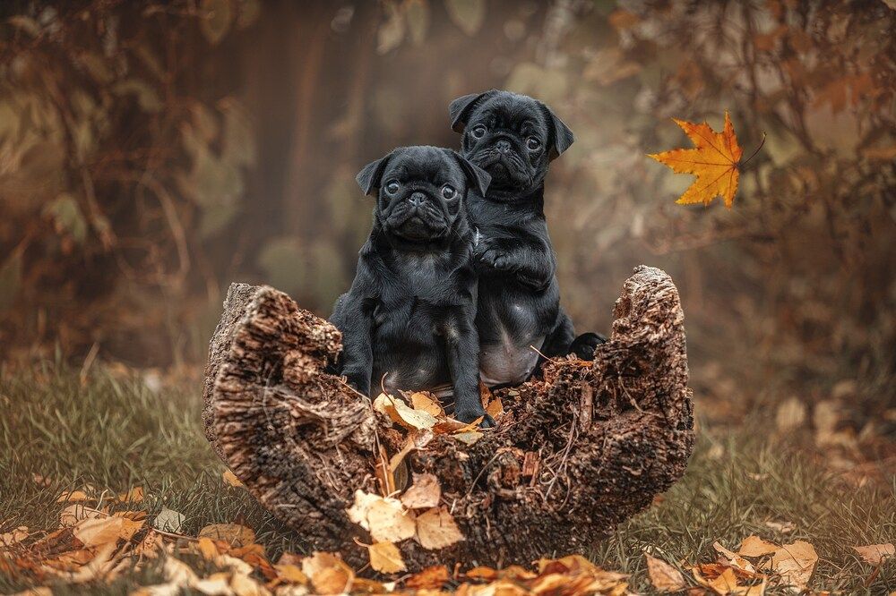 Photograph by Милана Бабченко