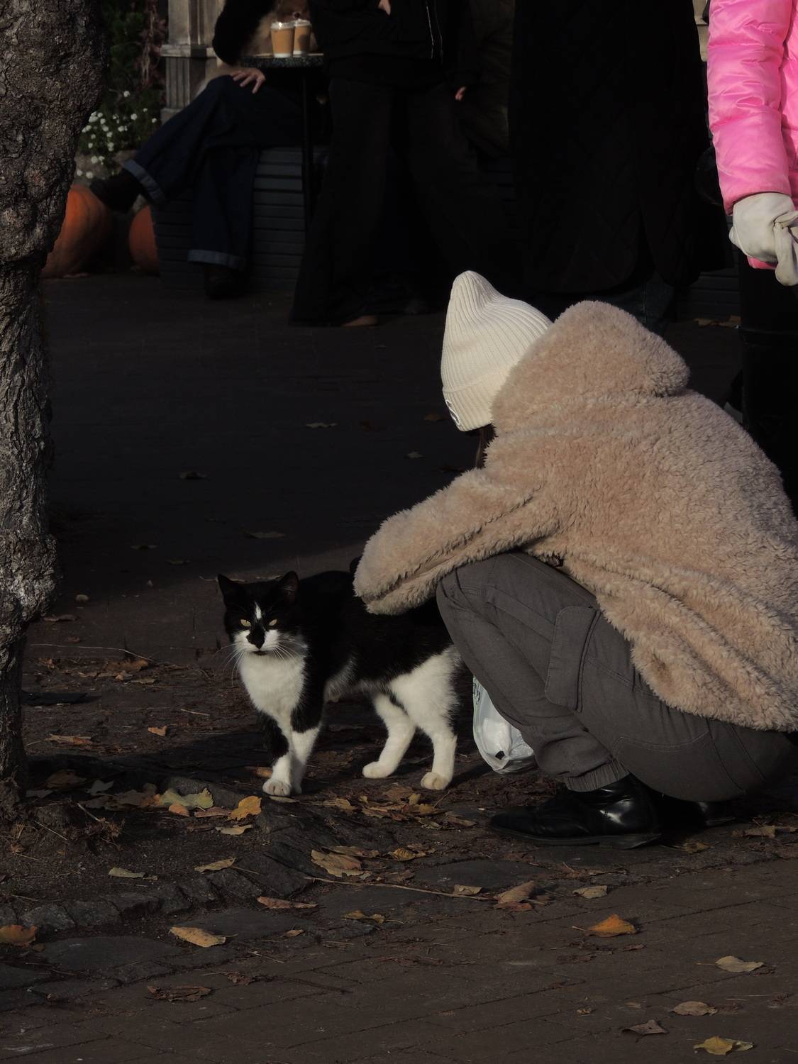 Photo #12888845