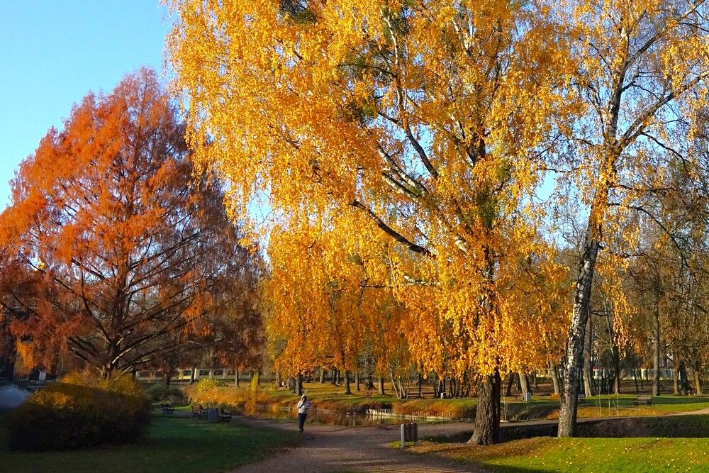 Photograph by jelena konickaja