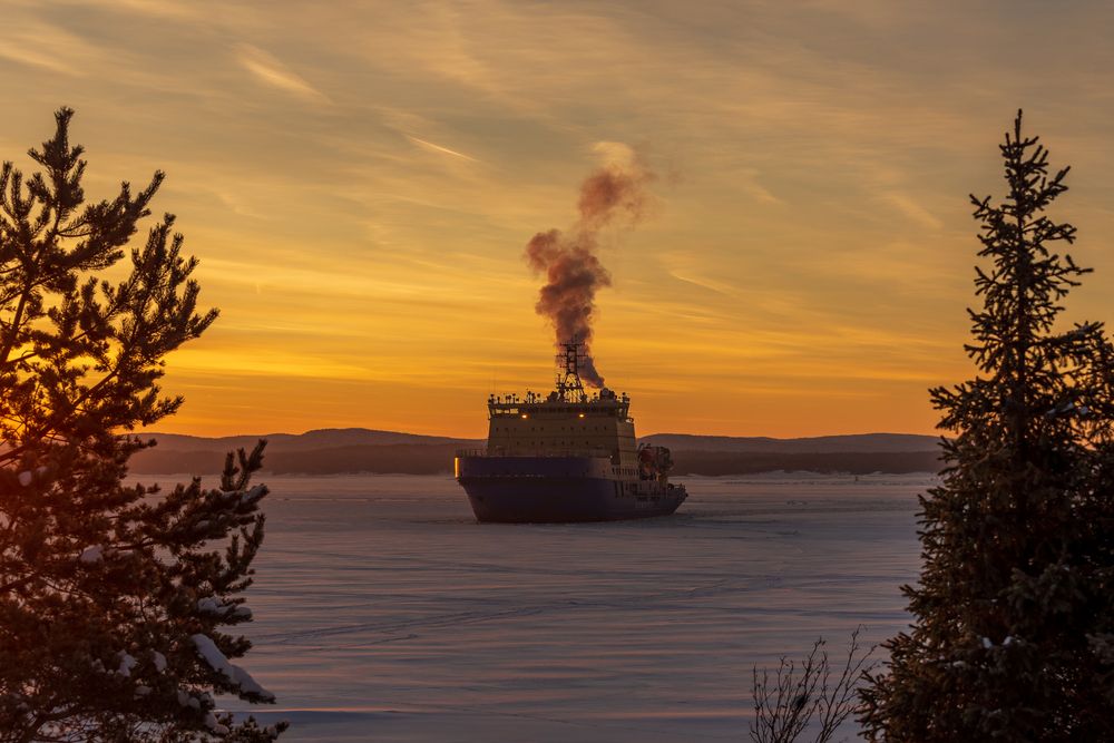 Photograph by Mika Mgla