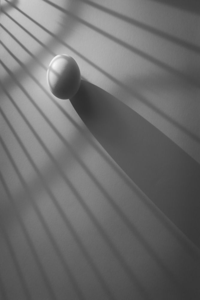 Фотография автора Светлана Поливанова