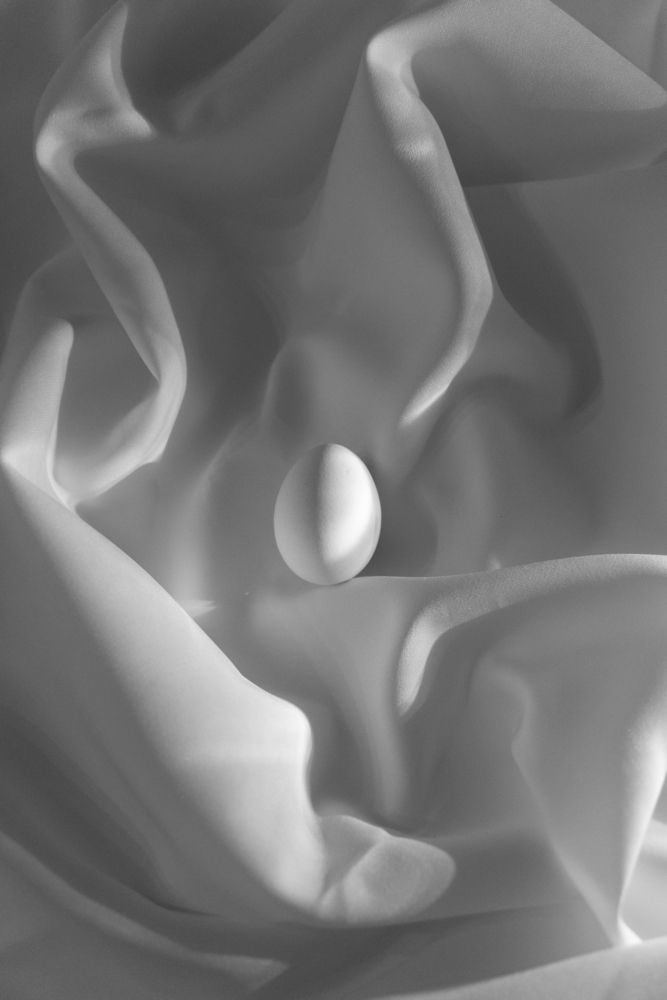 Начало жизни