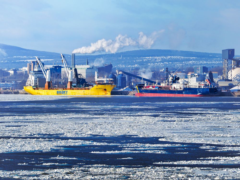 Фотография автора Camilo Rojas