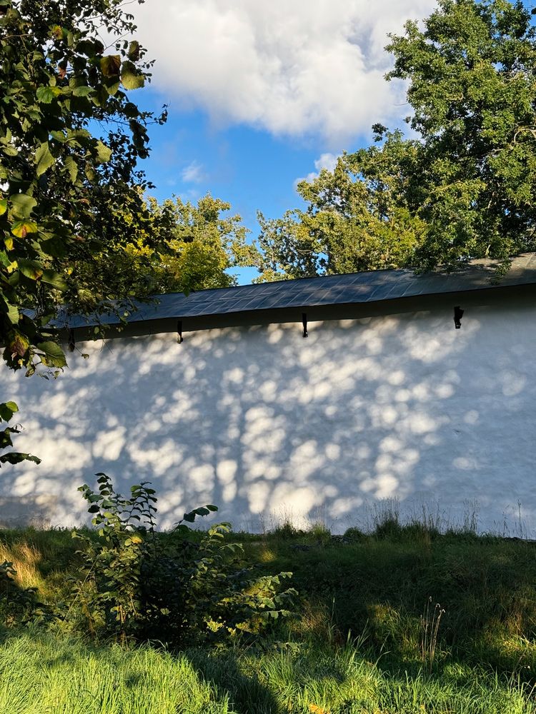 Фотография автора Екатерина