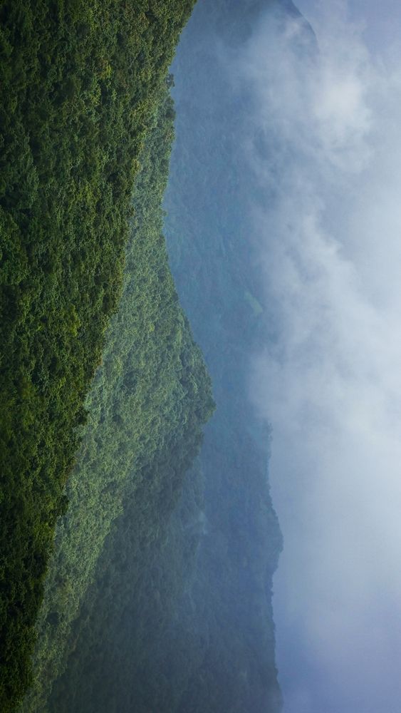 Photograph by Tanaya Manohar Dhuri