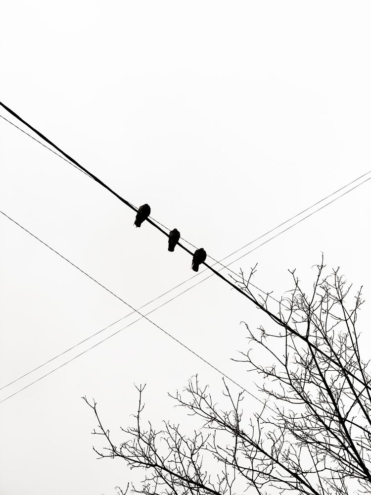 Photograph by Юлия Максимова