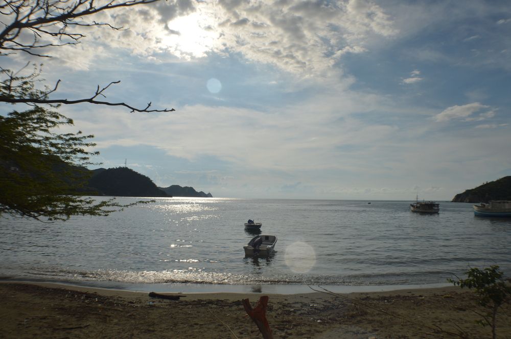 Фотография автора Camilo Martinez