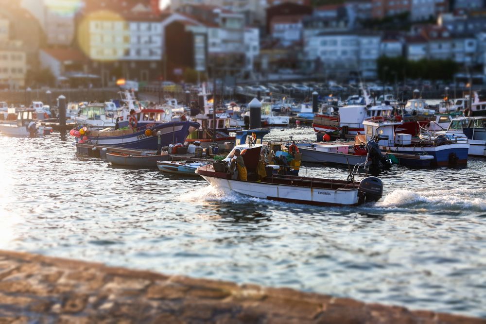 Фотография автора Dr_Plat