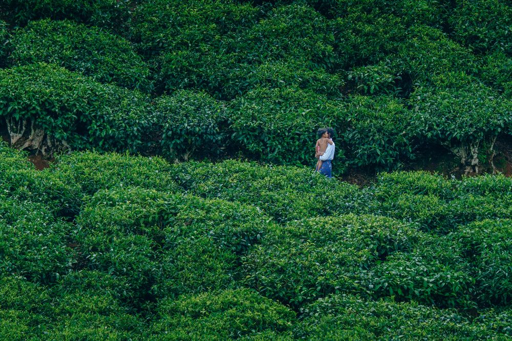 Photograph by Anoop Arakkal