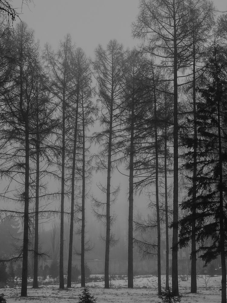 Photograph by Остапенко Юрий