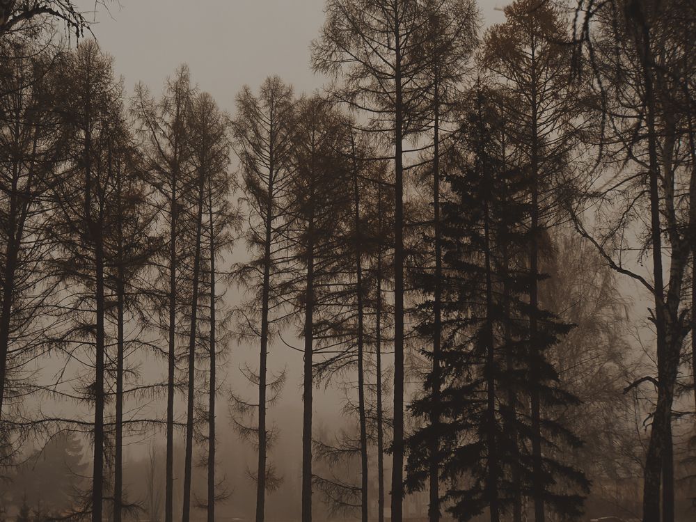 Photograph by Остапенко Юрий