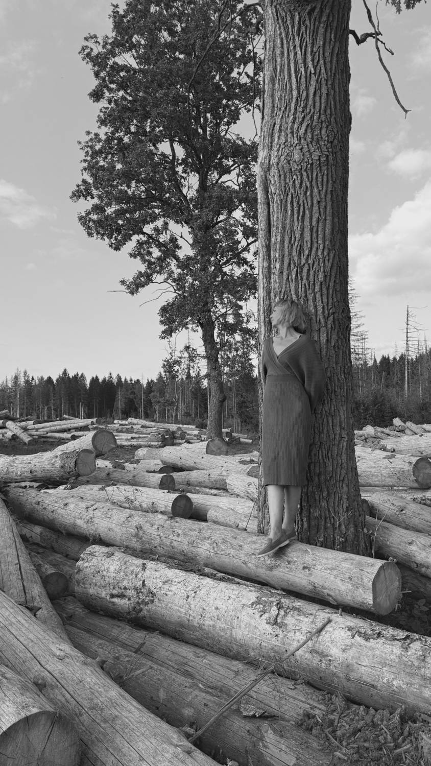 Фотография #12889699