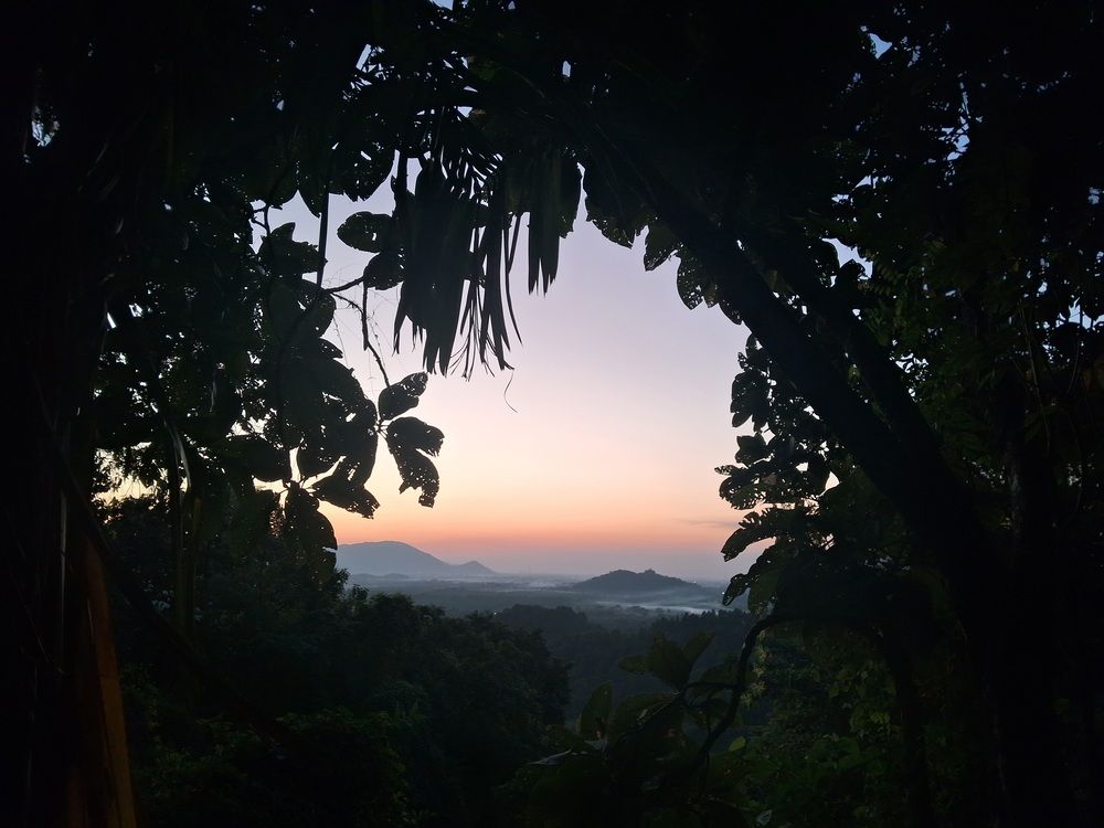 Photo #12889742