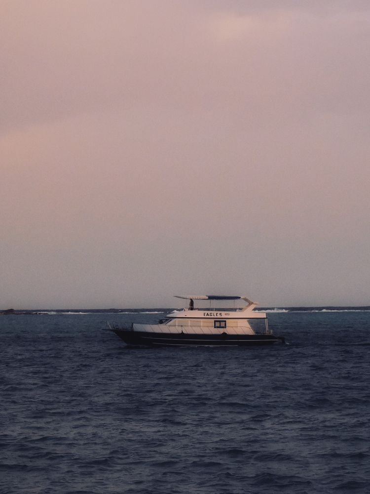 Photograph by NADER AYMAN