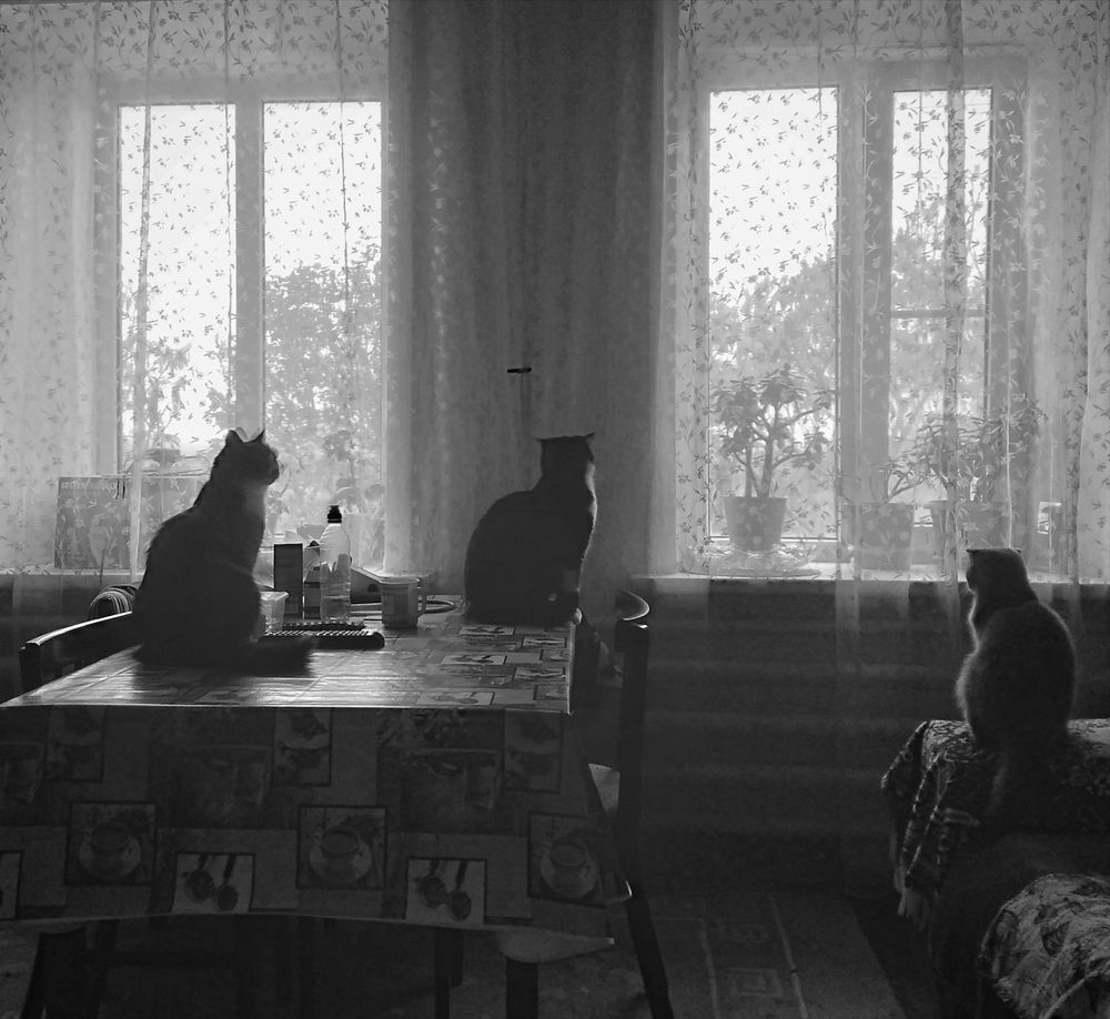 Photograph by Павел Вихрев