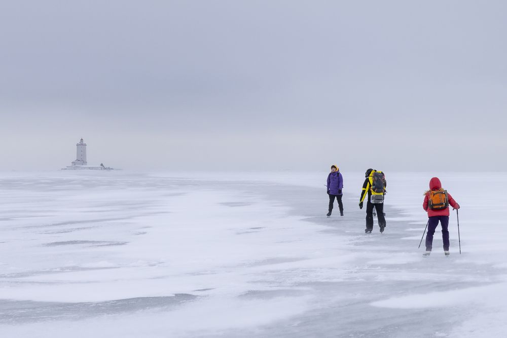 Photograph by Дмитрий Катаругин