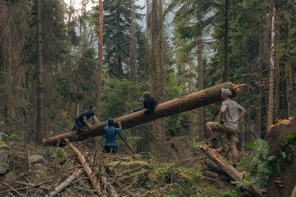 Photograph by Дмитрий Катаругин