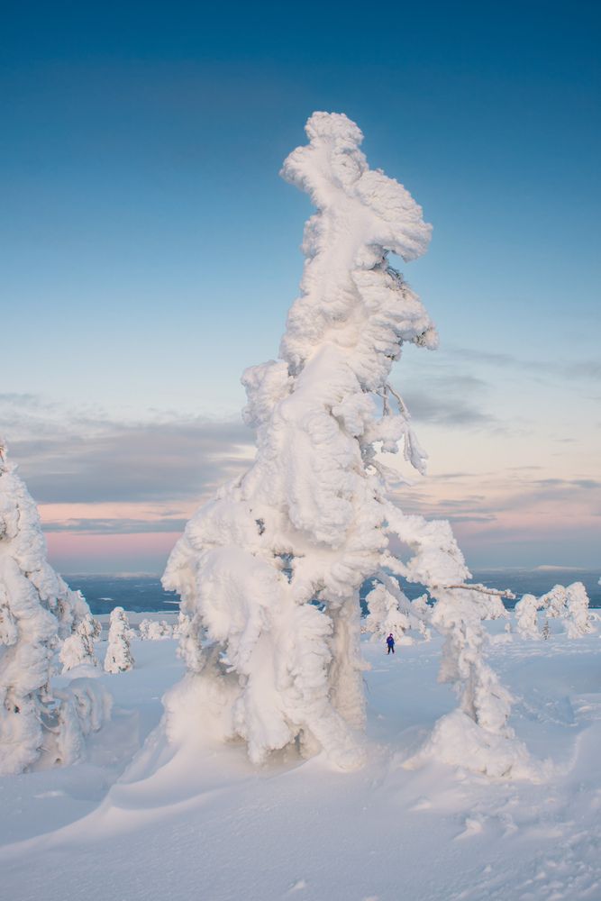 Photograph by Леонтьев Константин